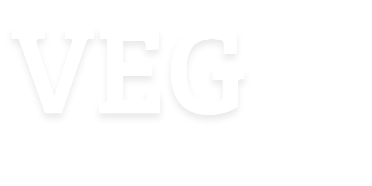VEGA COMMERCE